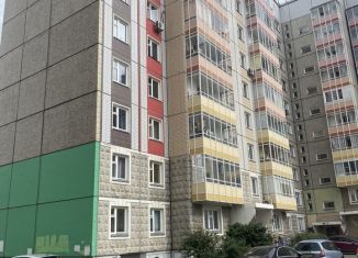 Аренда 2-комнатной квартиры, 56 м2, Красноярск, улица Молокова, 1Д, Советский район