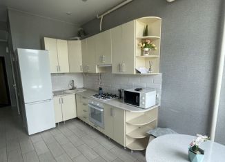 Квартира на продажу студия, 33 м2, село Раздольное, улица Механизаторов, 2/6