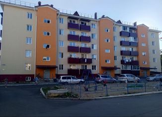 Продается 1-комнатная квартира, 33.7 м2, Биробиджан, Сапёрная улица, 6