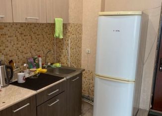 Сдаю в аренду квартиру студию, 20 м2, Татарстан, Октябрьская улица, 38