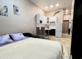 Сдаю квартиру студию, 28 м2, Крым, улица Беспалова, 110Е