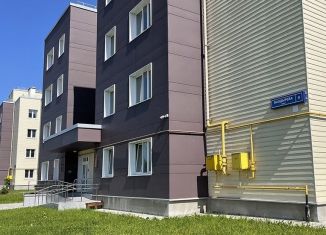 Продам 4-комнатную квартиру, 117.4 м2, деревня Болтино, улица Баздырева, 9