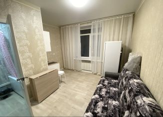 Сдаю в аренду квартиру студию, 18 м2, Самара, улица Авроры, 219, метро Спортивная