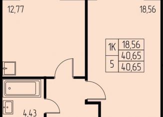 1-комнатная квартира на продажу, 40.7 м2, Московская область, микрорайон Дружный, 12