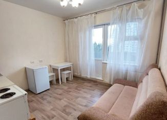 Сдаю в аренду квартиру студию, 22 м2, Новосибирск, улица Твардовского, 22/2