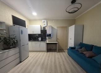 Продаю квартиру студию, 24.5 м2, Сертолово, улица Мира, 11к5