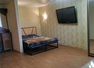 Сдается квартира студия, 25 м2, Камчатский край, Амурская улица, 1