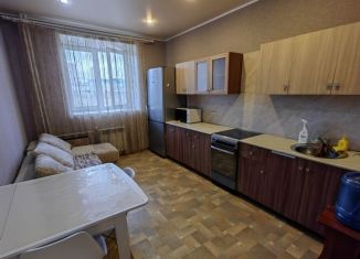 Сдача в аренду 1-ком. квартиры, 50 м2, Калуга, улица 65 лет Победы, 20