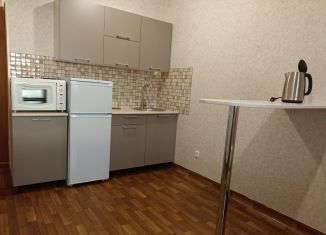 Сдается квартира студия, 26 м2, Красноярск, Свердловский район, улица Карамзина, 16