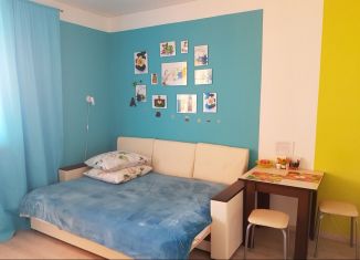 Сдаю квартиру студию, 30 м2, Рязань, Московское шоссе, 33к3