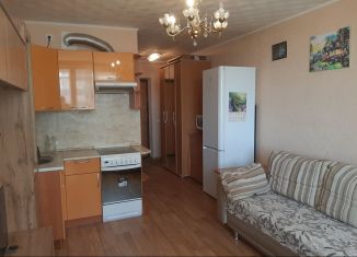 Сдаю в аренду квартиру студию, 24 м2, Екатеринбург, Рощинская улица, 31