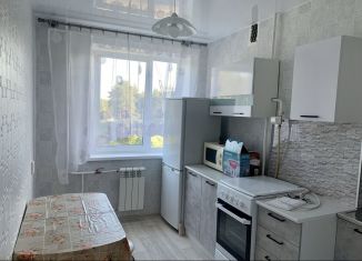 Сдам в аренду 2-ком. квартиру, 43 м2, Пермский край, Подлесная улица, 9