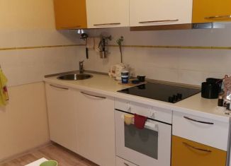 Сдается 2-комнатная квартира, 50 м2, Новосибирск, улица Мясниковой, 30