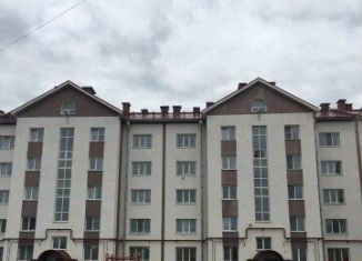 Сдача в аренду квартиры студии, 48 м2, Пермский край, Набережная улица, 41А