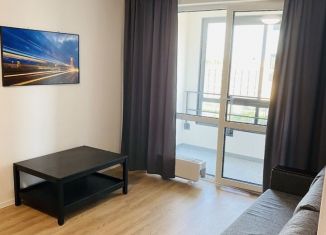 Сдается 1-ком. квартира, 40 м2, Санкт-Петербург, Суздальское шоссе, 30к2