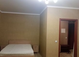 Аренда 1-комнатной квартиры, 50 м2, Краснодарский край, Берёзовый проезд, 7