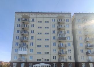 Продается 2-комнатная квартира, 43 м2, посёлок Чистогорский, посёлок Чистогорский, 74