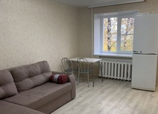 2-комнатная квартира в аренду, 45 м2, посёлок Ждановский, Школьная улица, 23