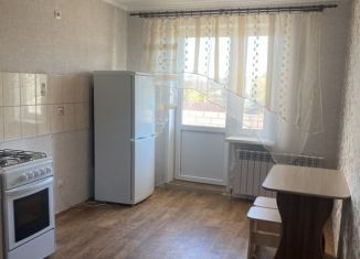 Аренда 1-комнатной квартиры, 41 м2, деревня Новосельцы, Юбилейная улица, 6