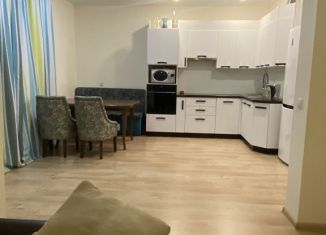 2-комнатная квартира в аренду, 56 м2, Екатеринбург, Авиационная улица, 16, Авиационная улица