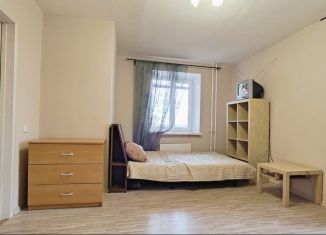 Однокомнатная квартира в аренду, 32.6 м2, Колпино, Пролетарская улица, 42