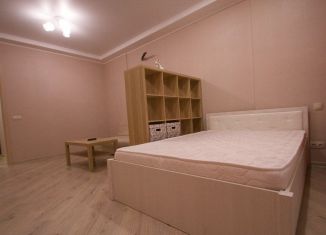 Сдается 1-комнатная квартира, 44 м2, Татарстан, улица Комиссара Габишева, 45