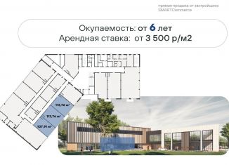 Продается помещение свободного назначения, 113.76 м2, Красное Село, Семёновская улица, 21