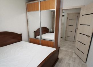 Сдам 2-ком. квартиру, 40 м2, Новосибирск, улица Забалуева, 92