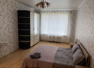 Сдача в аренду 1-ком. квартиры, 49 м2, Гатчина, улица Горького, 3