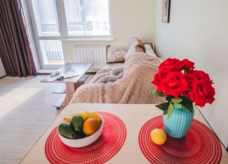 Квартира в аренду студия, 28 м2, Красноярск, улица Карамзина, 18