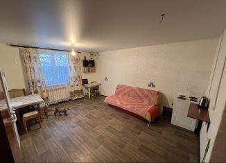 Продажа дома, 60 м2, Екатеринбург, метро Динамо, проспект Ленина