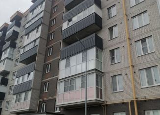 Продажа квартиры студии, 29 м2, деревня Борисовичи, Венская улица, 8