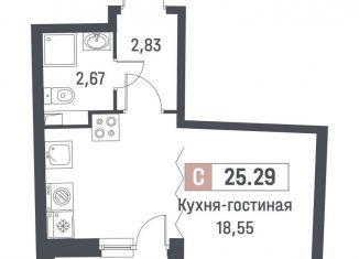 Продажа квартиры студии, 24.1 м2, Ленинградская область