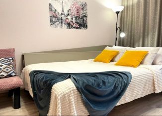 Сдается 1-ком. квартира, 40 м2, Санкт-Петербург, Садовая улица, 85