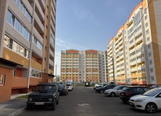 Продаю 1-ком. квартиру, 41 м2, деревня Алтуховка