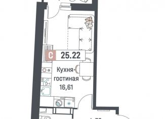 Продается квартира студия, 25.2 м2, Мурино