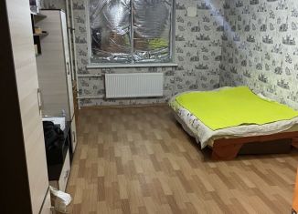 Однокомнатная квартира в аренду, 42 м2, Санкт-Петербург, метро Ладожская, Союзный проспект, 6к1