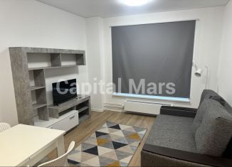 Сдается 1-ком. квартира, 40 м2, Москва, улица Михайлова, 30Ак2