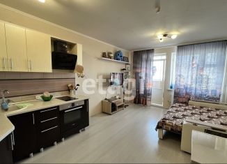 Продается квартира студия, 25.5 м2, Красноярский край, Соколовская улица, 80А