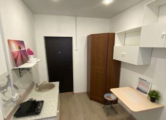 Сдаю в аренду квартиру студию, 10 м2, Екатеринбург, Балаклавский тупик, 3