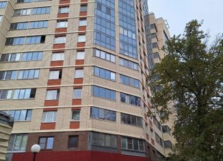 Продажа однокомнатной квартиры, 34.6 м2, Санкт-Петербург, метро Выборгская, улица Александра Матросова, 20к2