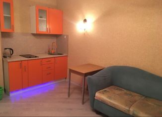 Сдается квартира студия, 25 м2, Мурино, Охтинская аллея, 4