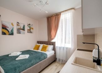 Сдаю в аренду квартиру студию, 14 м2, Москва, Азовская улица, 13