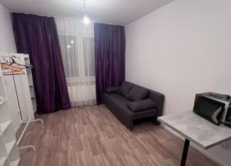 Квартира в аренду студия, 21.2 м2, Санкт-Петербург, Муринская дорога, 25к3, Красногвардейский район