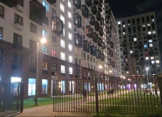 1-комнатная квартира в аренду, 33.2 м2, посёлок городского типа Мисайлово, Пригородное шоссе, 12