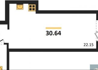 Продаю квартиру студию, 30.6 м2, Воронеж, Коминтерновский район, Покровская улица, 19