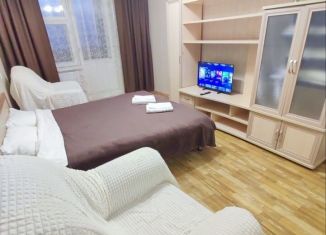 Сдается однокомнатная квартира, 40 м2, Татарстан, проспект Вахитова, 36В