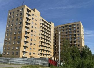 Продается однокомнатная квартира, 41.2 м2, Архангельская область, Карпогорская улица, 12к3