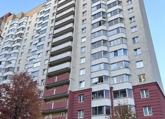 Сдается 1-ком. квартира, 39 м2, Санкт-Петербург, Долгоозёрная улица, 41к2, муниципальный округ Юнтолово