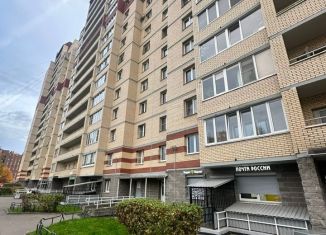 Сдам в аренду 1-комнатную квартиру, 40 м2, Санкт-Петербург, улица Рихарда Зорге, 4к2, метро Проспект Ветеранов